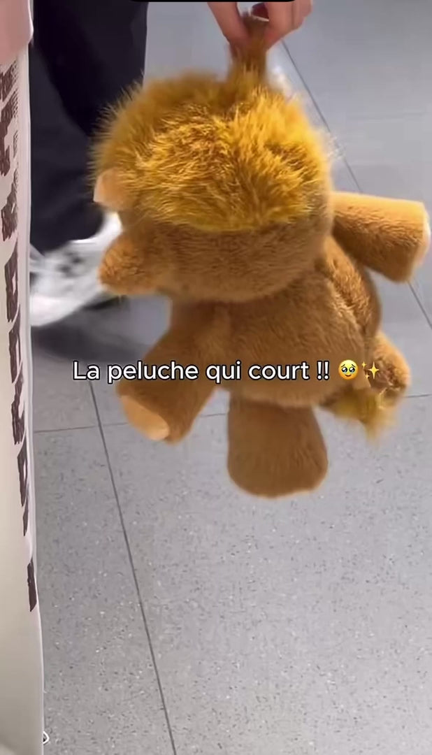 Vidéo