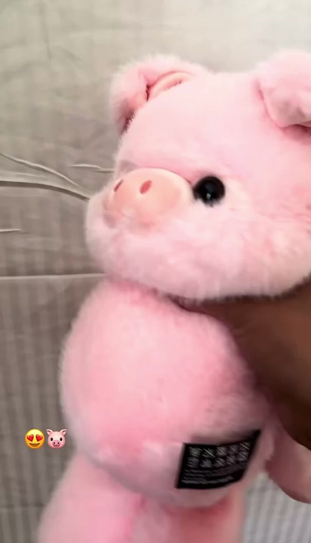 Vidéo