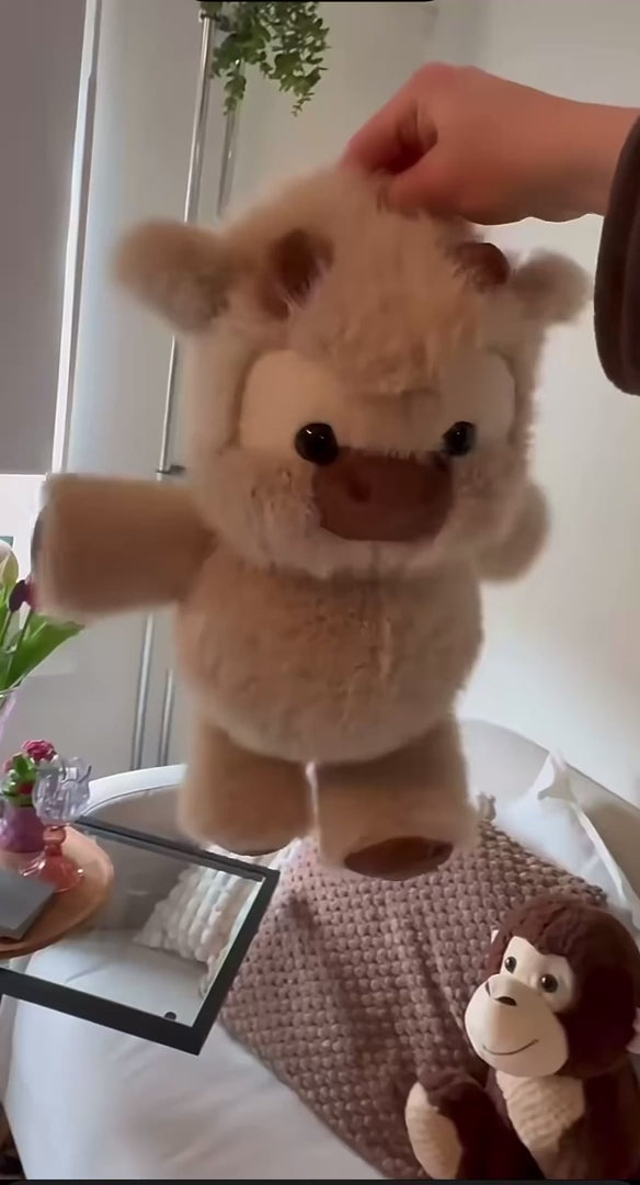 Vidéo