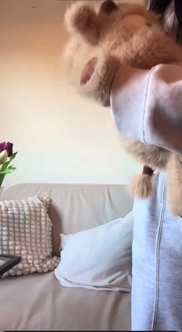 Vidéo